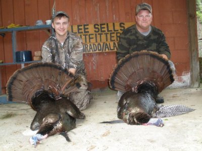 Alabama turkey hunting