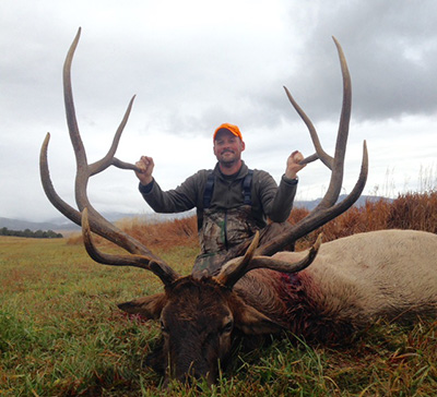 Colorado Elk